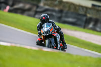 Oulton-Park-21st-March-2020;PJ-Motorsport-Photography-2020;anglesey;brands-hatch;cadwell-park;croft;donington-park;enduro-digital-images;event-digital-images;eventdigitalimages;mallory;no-limits;oulton-park;peter-wileman-photography;racing-digital-images;silverstone;snetterton;trackday-digital-images;trackday-photos;vmcc-banbury-run;welsh-2-day-enduro